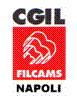Casella di testo:  